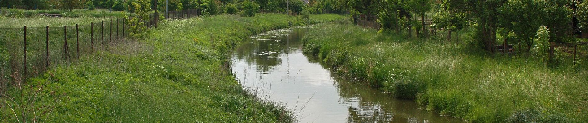 Tour Zu Fuß Liban - [Z] Rožďalovice - Křešice - Photo