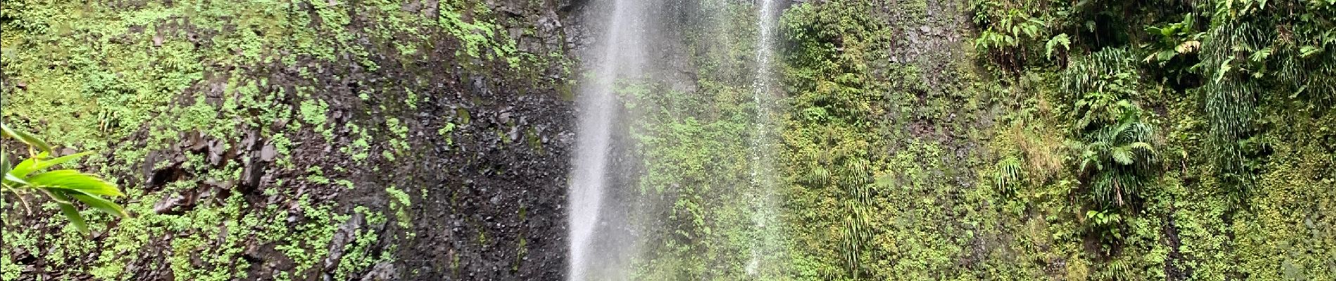 Tocht Noords wandelen Capesterre-Belle-Eau - Chute  - Photo