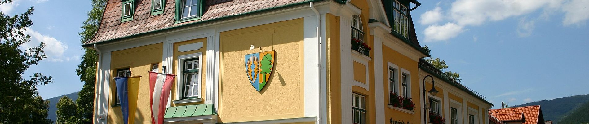 Percorso A piedi Gemeinde Puchberg am Schneeberg - Puchberg Laufstrecke 1 - Photo