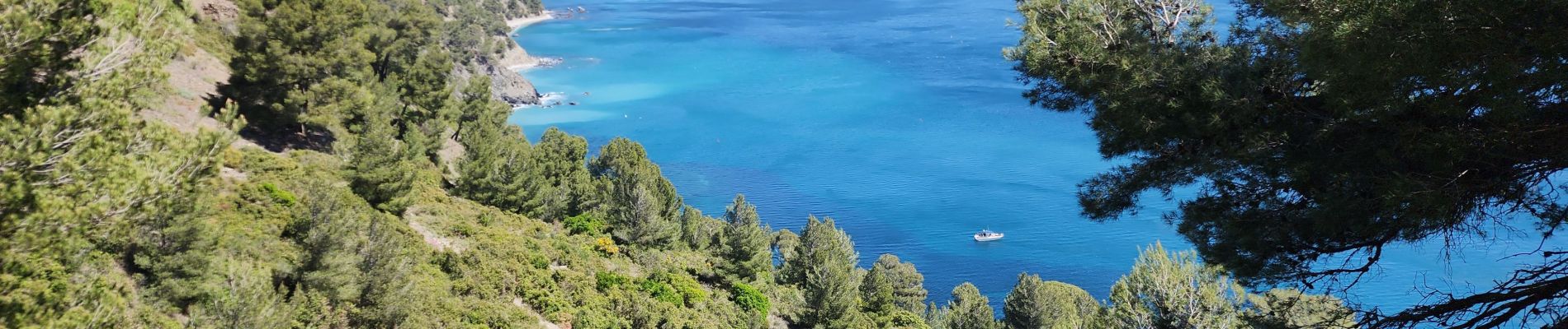 Tour Wandern La Seyne-sur-Mer - Fabregas, parking des bœufs, plage des nudistes, notre dans de mai - Photo