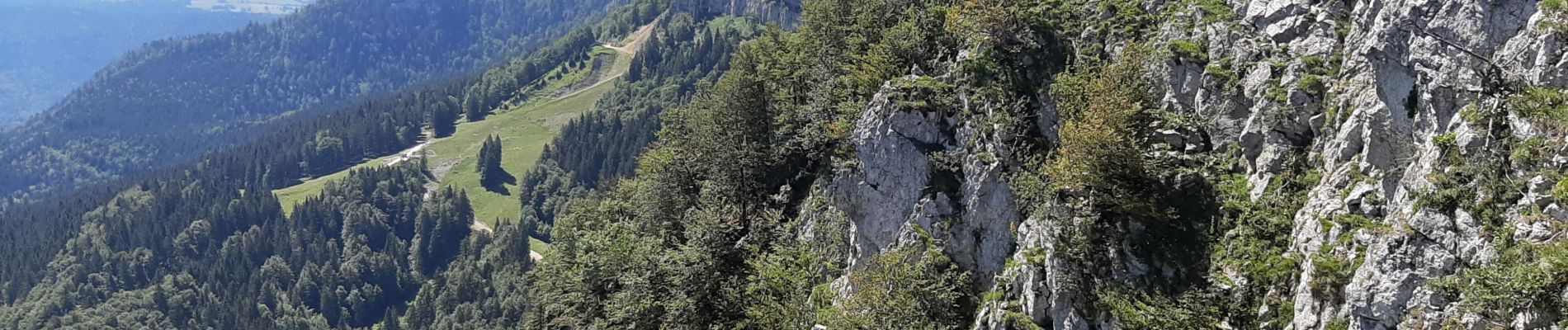 Tocht Stappen Métabief - Metabief Mont D'or - Photo