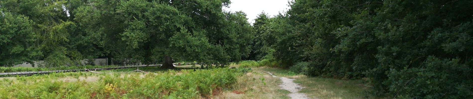 Randonnée Marche Le Haillan - Parc du ruisseau - Photo