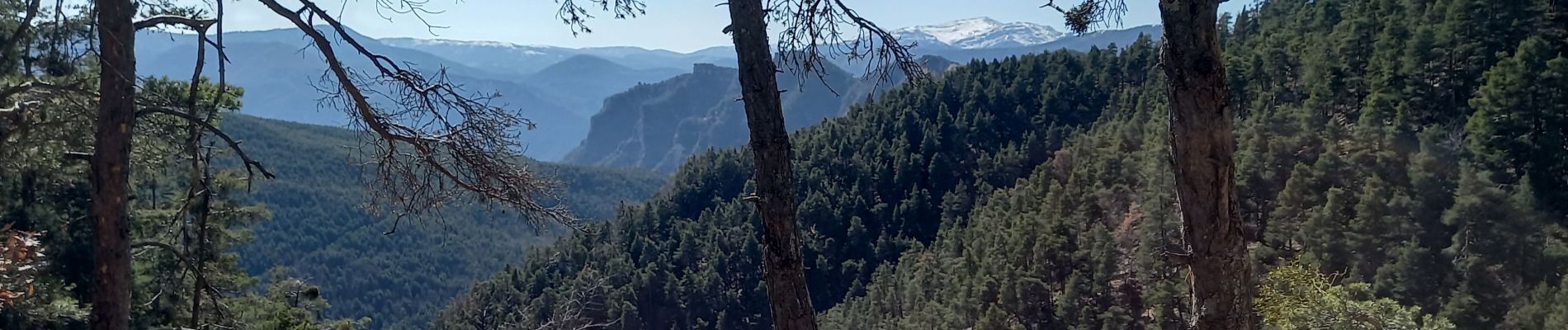 Excursión Senderismo Braux - Rando Pieŕre qui tremble Chabrieres Peloussis Argenton  - Photo