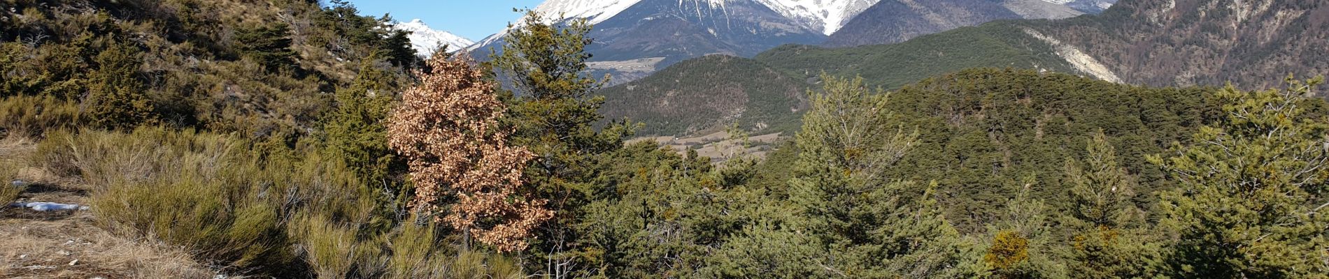 Tour Wandern Châteauneuf-d'Oze - Crête de la Brunelle - Photo