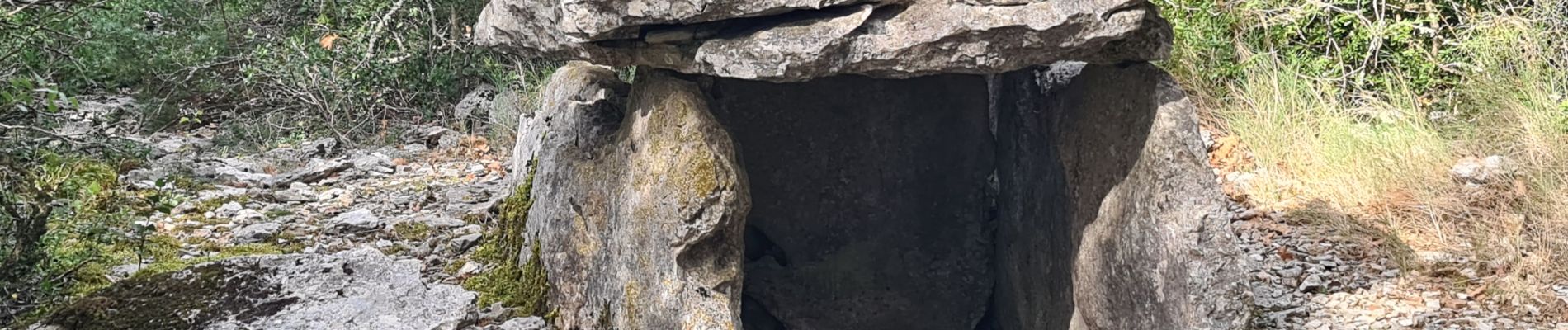 Excursión Senderismo Orgnac-l'Aven - plaine de ronze - Photo