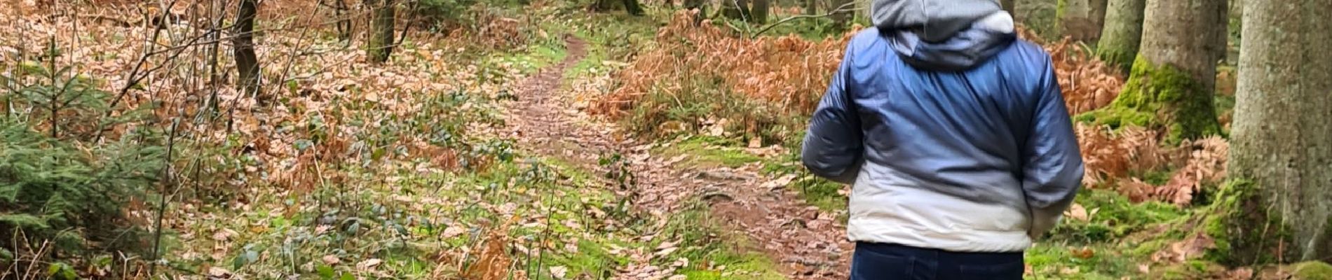 Tocht Stappen Viroinval - Viroinval 19/02/23  - Photo