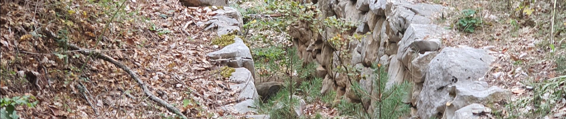 Trail Walking Comps-sur-Artuby - 2023-10-17 Le Fayet  - Photo