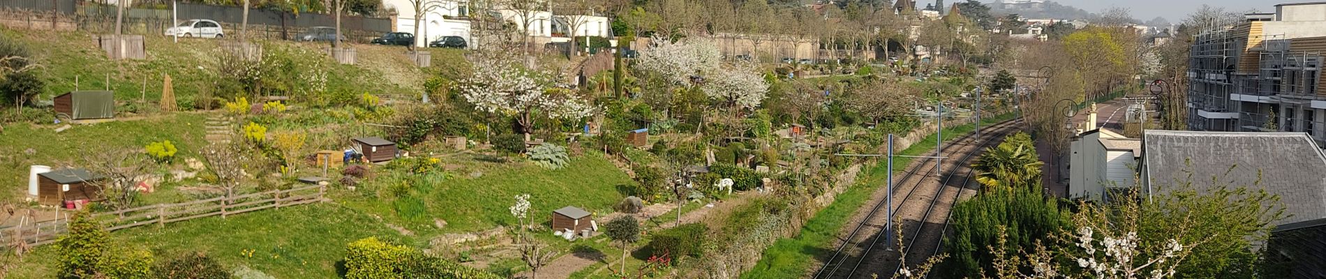 Trail Walking Boulogne-Billancourt - Les coteaux de St Cloud - Photo