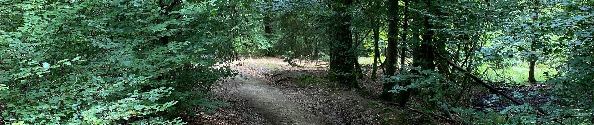 Excursión Bici de montaña Saint-Hubert - Après plus de 2 ans sans faire de vélo 🙄 - Photo