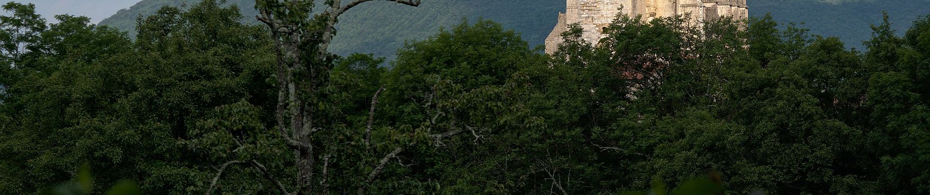 Percorso A piedi Saint-Bertrand-de-Comminges - Saint-Bertrand-de-Comminges : au coeur du Comminges - Photo