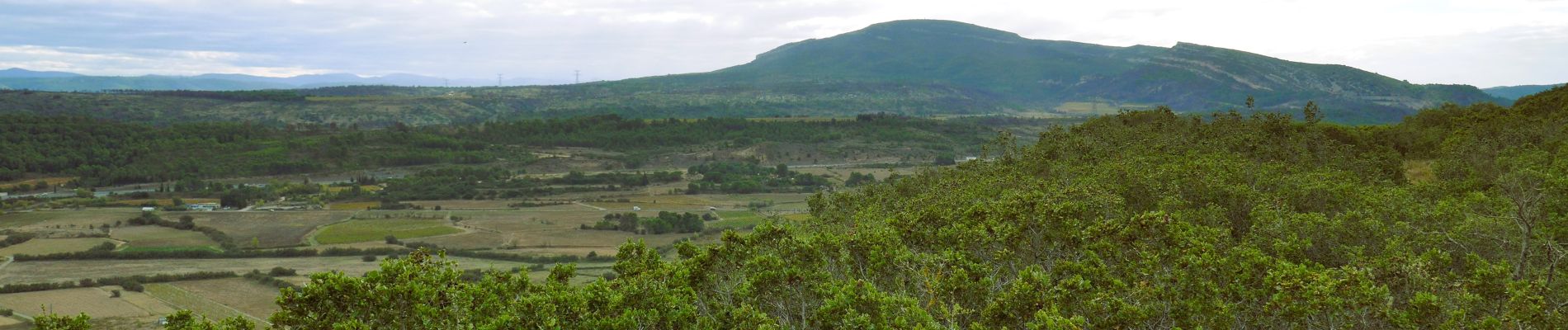 Excursión Senderismo Montbrun-des-Corbières - MONTBRUN DES CORBIERES rocher du renard - Photo