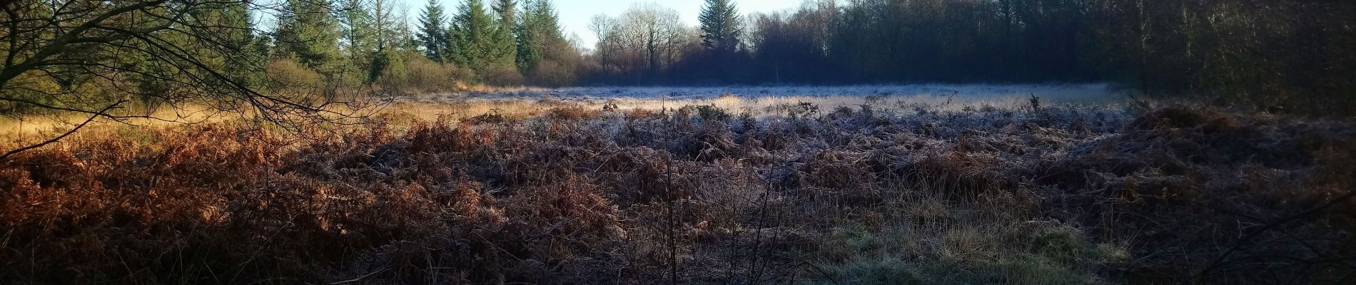 Randonnée Marche Plounérin - Trop lann Droën - Photo