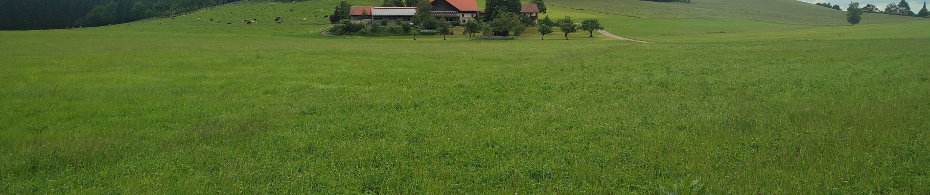 Tocht Stappen Altusried - Rundum den Vogelberg - Photo