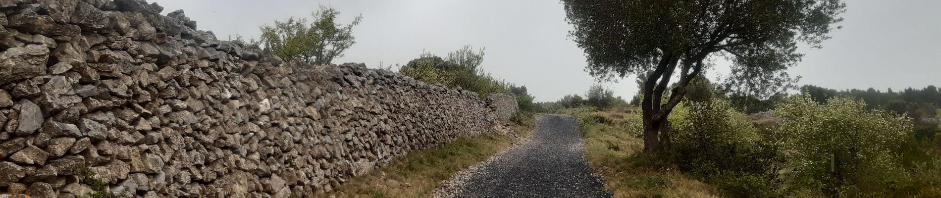 Excursión Senderismo Leucate - mon sentier des pêcheurs  - Photo