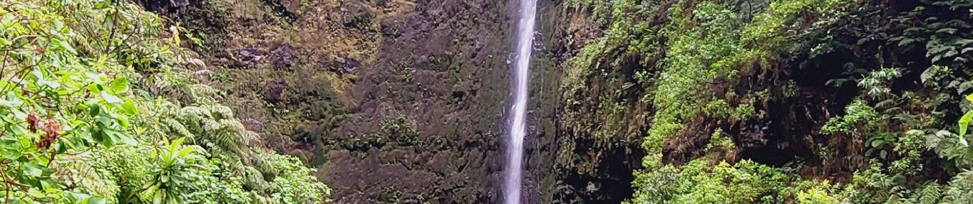 Excursión Senderismo Santana - caldero verde - Photo