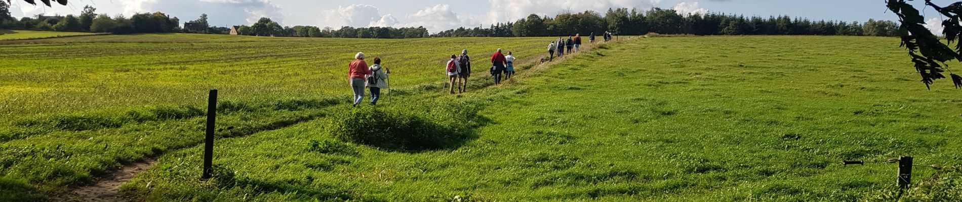 Randonnée Marche Villers-la-Ville - VLV_1023 - Photo