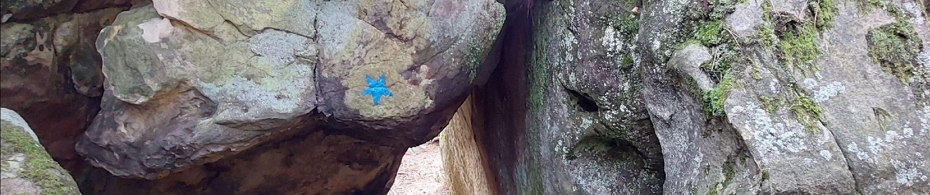 Point d'intérêt Fontainebleau - *  - Photo