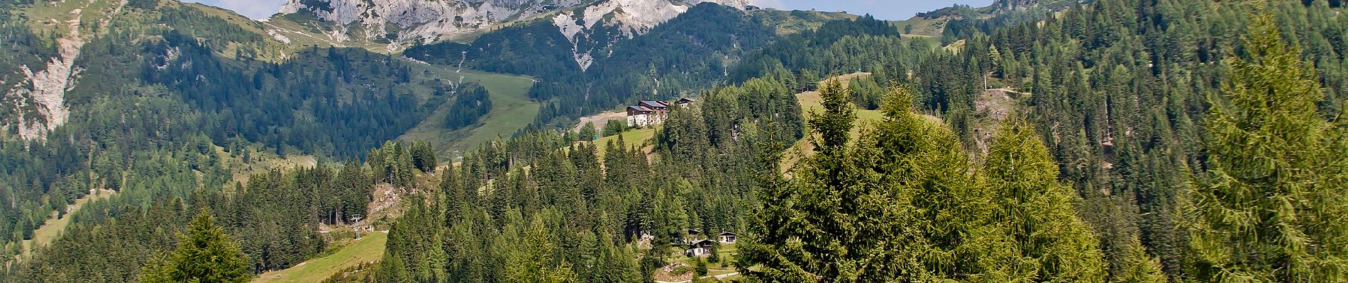 Tocht Te voet Paularo - (SI A05) Cason di Lanza - Prato Pramollo - Photo