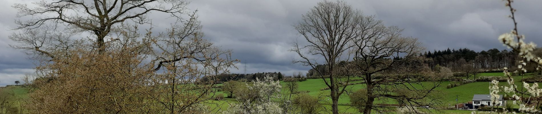 Tocht Stappen Hamoir - Hamoir  - Photo