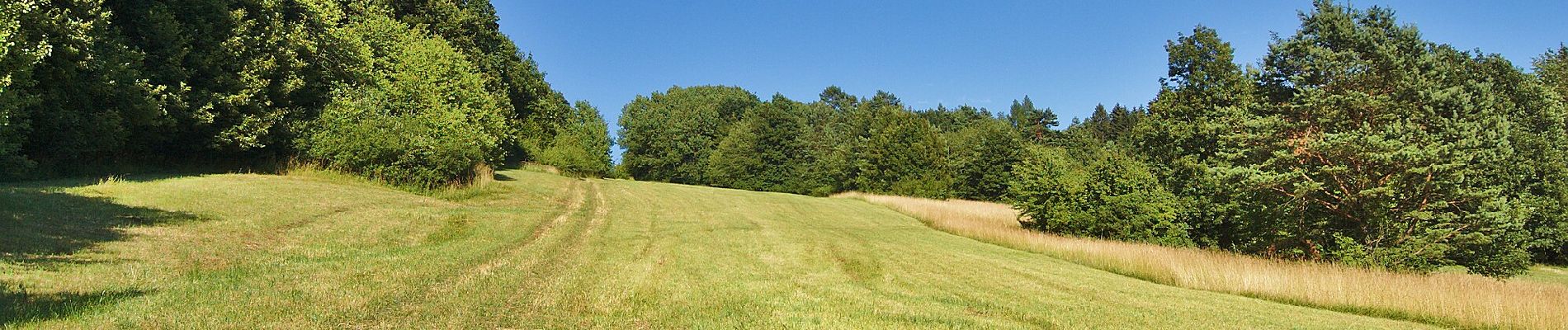 Trail On foot Strání - Naučná stezka Květná - Photo