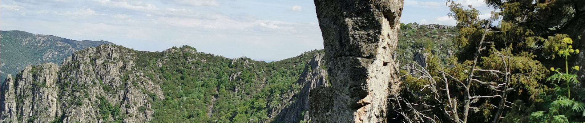 Trail Walking Prévenchères - La Garde Guerin - Photo