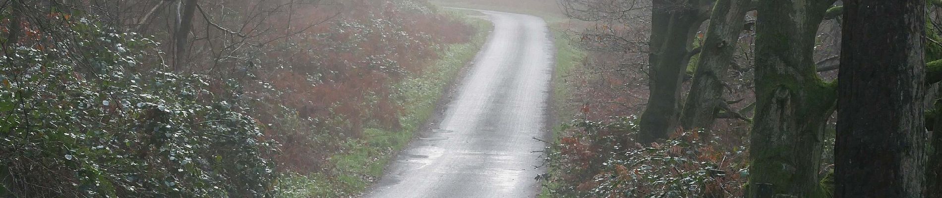 Randonnée A pied Breckland - Great Hockham Yellow Walk - Photo