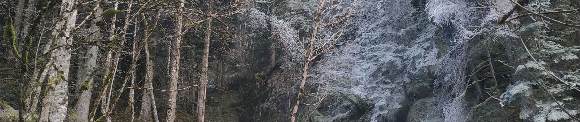 Tocht Stappen Fontaine - Le Vallon des Forges par la ferme Durand et le barrage d'Engins - Photo