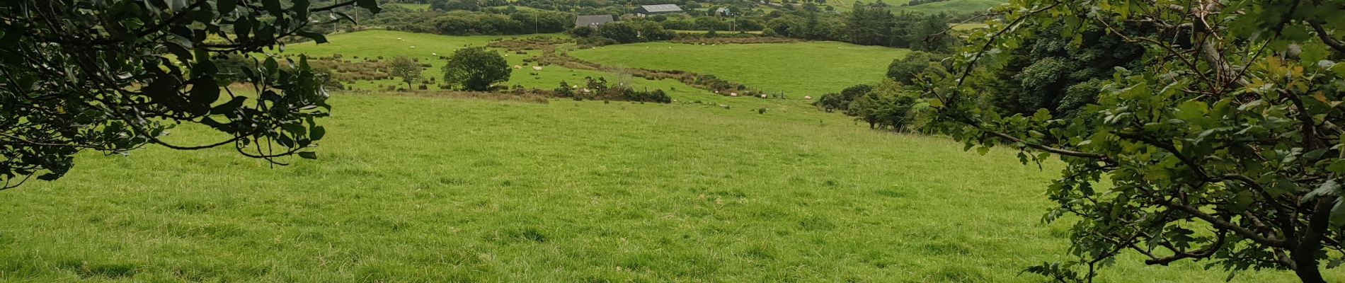 Trail Walking West Cork - Hungry Hill - Photo