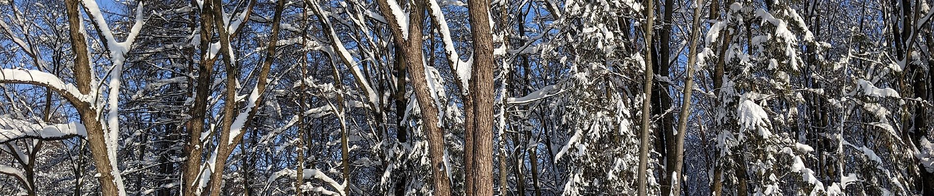 Randonnée A pied Dobrá - Naučná stezka Okolím Morávky ve Skalici - Photo