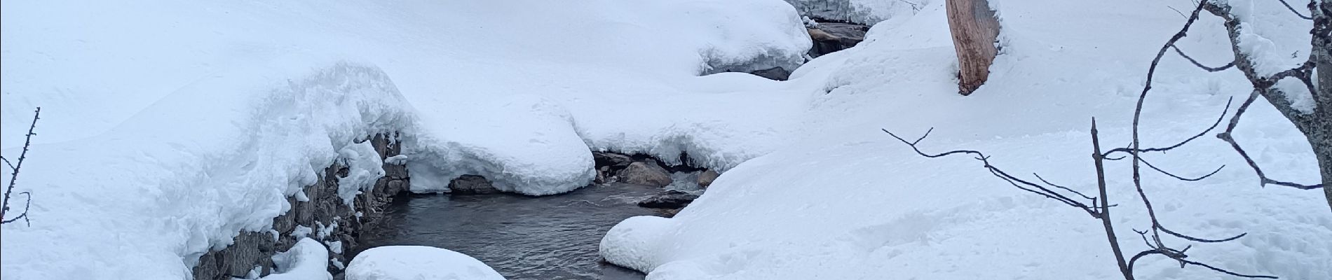 Excursión Raquetas de nieve Allos - Rando Raquettes Val d'Allos  - Photo