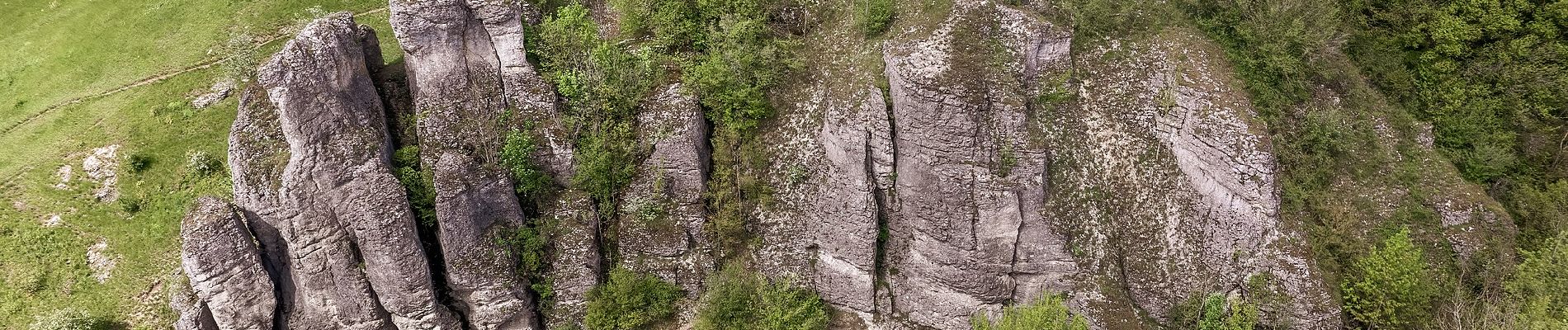 Randonnée A pied Litzendorf - Ellertal Nord - Stammberg - Rundweg - Photo