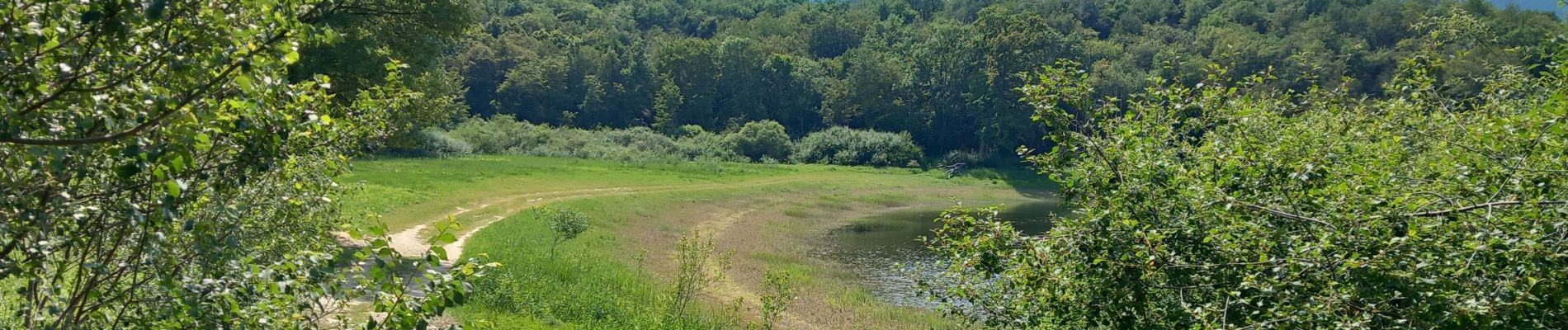 Randonnée Marche Arboys-en-Bugey - lac darmaille en amoureux - Photo