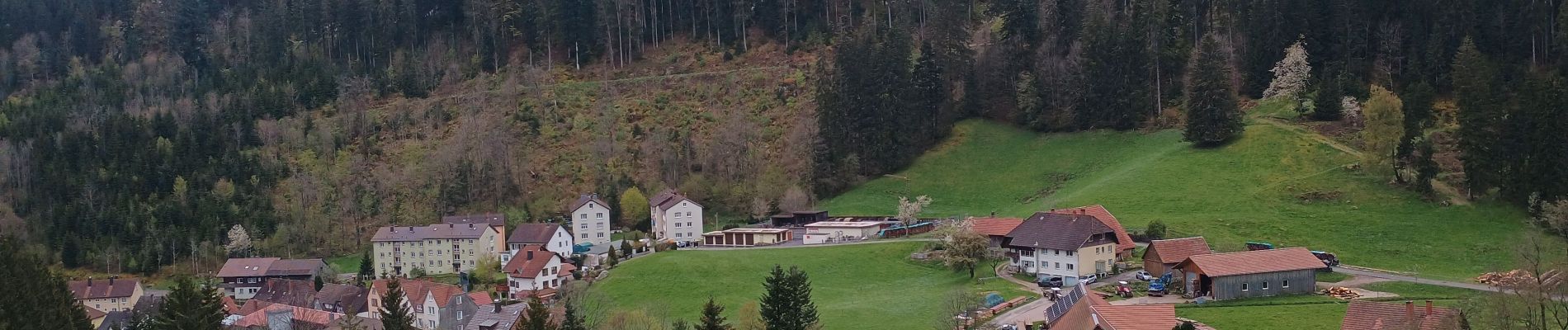 Randonnée Marche Schonach im Schwarzwald - Schonach Triberg  - Photo