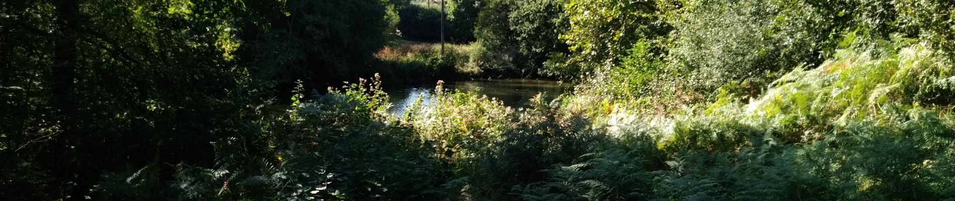 Tocht Stappen Ploërmel - la ville bouquet - Photo