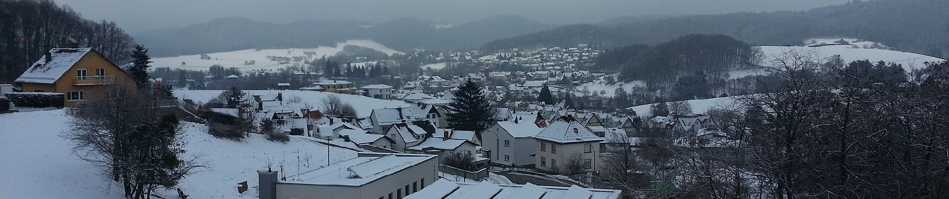 Percorso A piedi Weinheim - Rundwanderweg Bildstock 5: Rund um den Steinberg - Photo