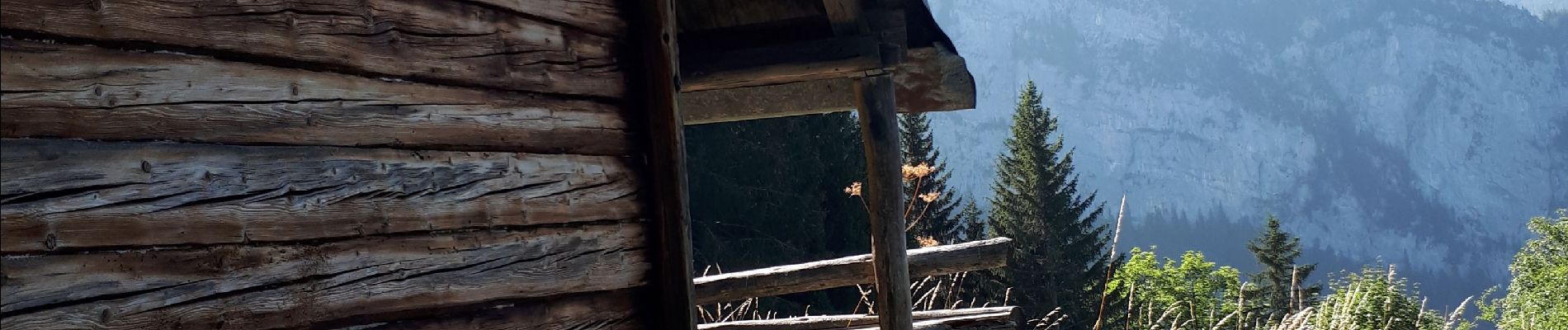 Tour Wandern Glières-Val-de-Borne - Petit Bornand - Pointe d'Andey 29/07/2018 - Photo