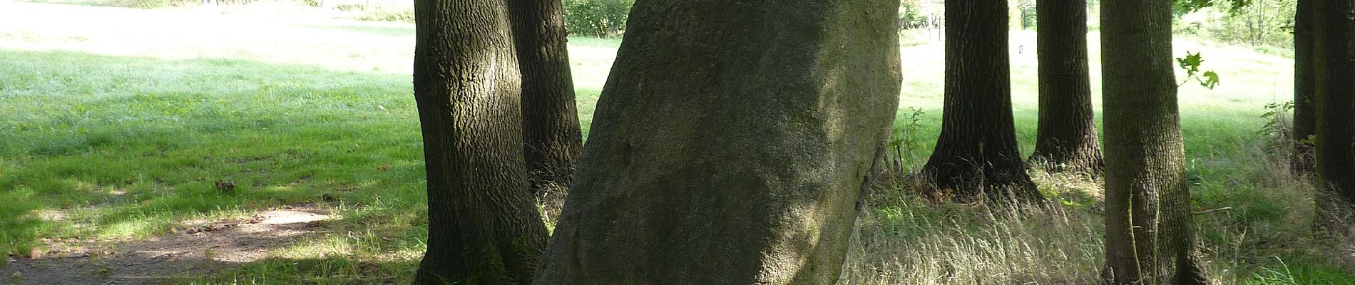 Tour Zu Fuß Beiersdorf - Beiersdorfer Ringweg - Photo