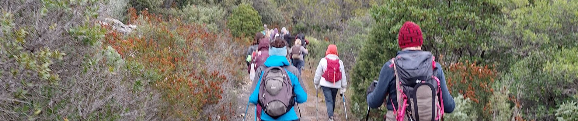 Randonnée Marche Signes - vallon d anis - Photo