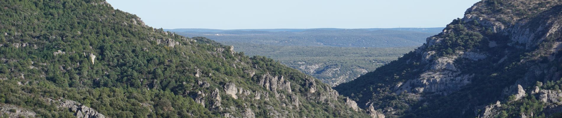 Randonnée Marche Montpeyroux - tour : font du griffe et mont St Baudille - Photo