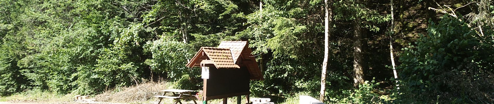 Randonnée Marche Wegscheid - Circuit des Rochers - Photo