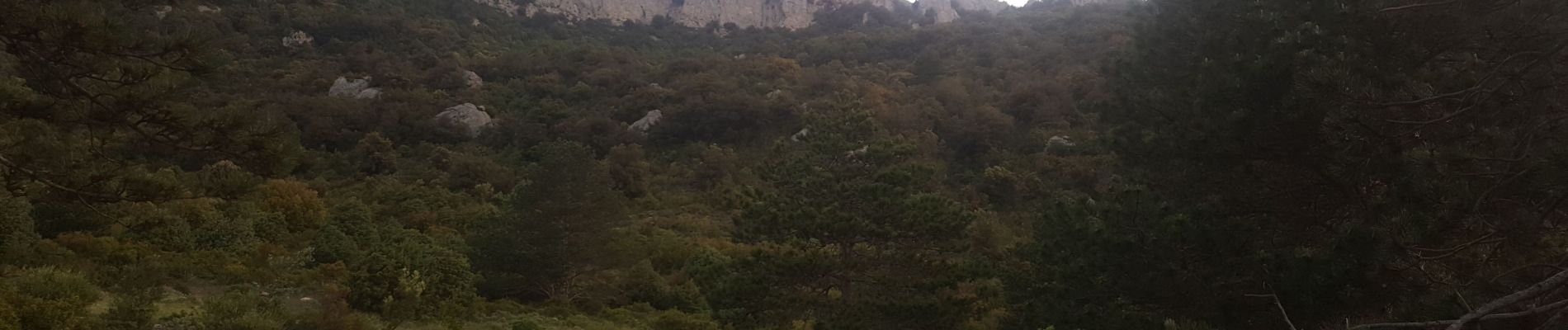 Tour Accrobranche Duilhac-sous-Peyrepertuse - Cathare 4 Duilhac sous P.  Bugarach - Photo