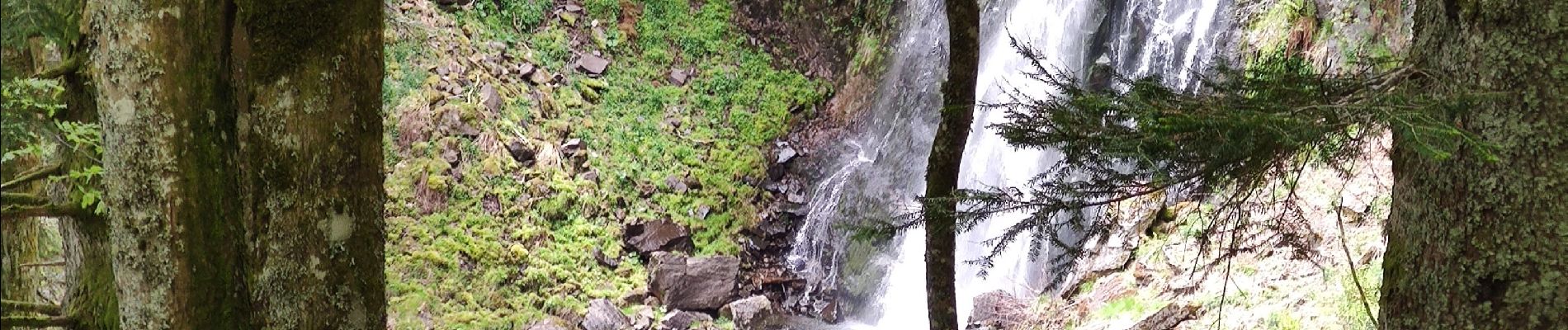 Tour Wandern Laveissière - La veissiere Puy de seycheuse - Photo