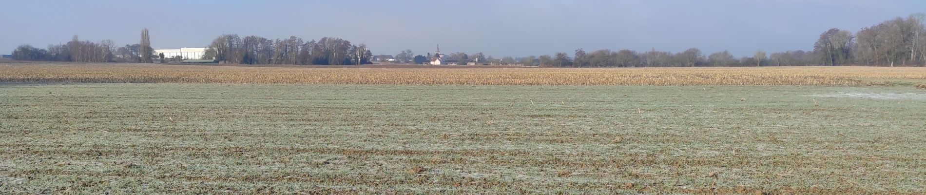 Randonnée Marche Heimsbrunn - Reiningue Paradisvogl retour - Photo