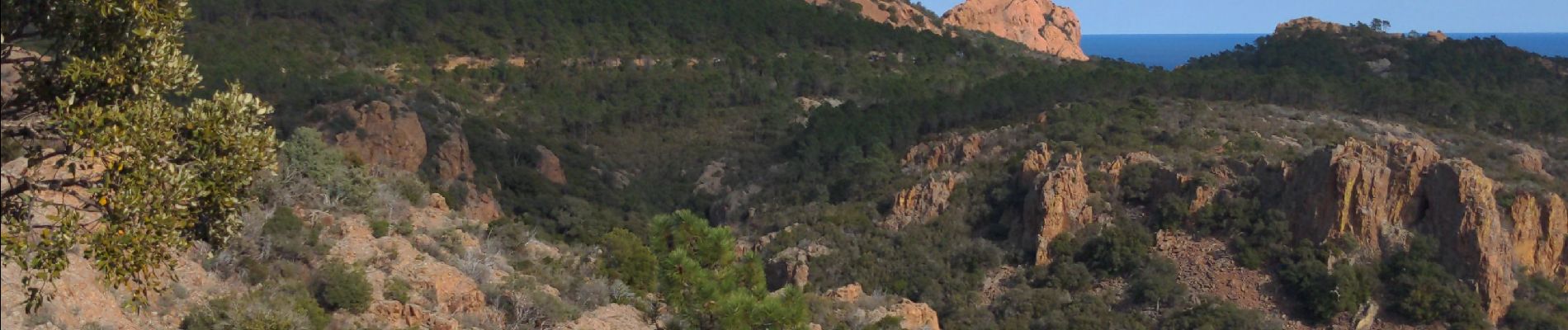 Randonnée Marche Saint-Raphaël - de L'Esterel au rastel - Photo