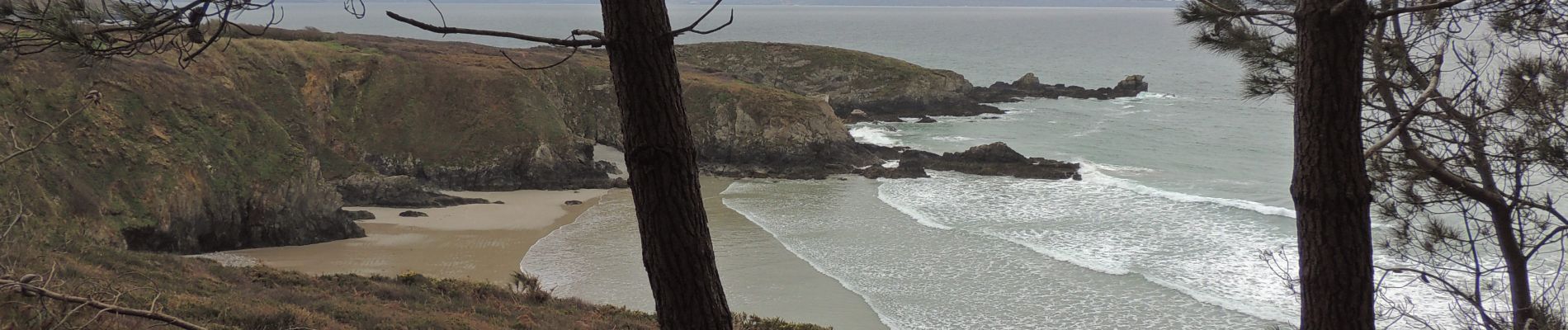 Tocht Stappen Telgruc-sur-Mer - TELGRUC - Photo