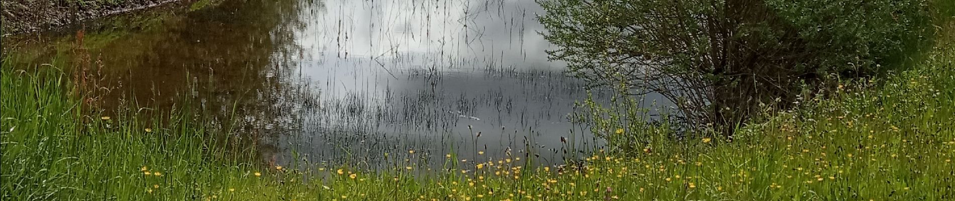 Tour Wandern Montmorillon - Montmorillon lac  - Photo