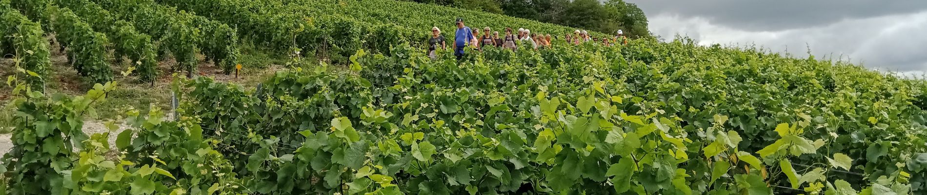 Randonnée Marche Château-Thierry - Château Thierry du 7 Juillet 2022 - Photo