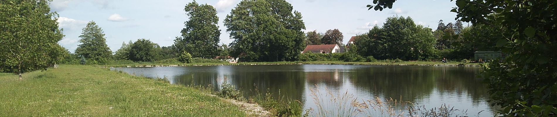 Percorso Marcia Sentheim - Par la forêt et le fil de l'eau - Photo