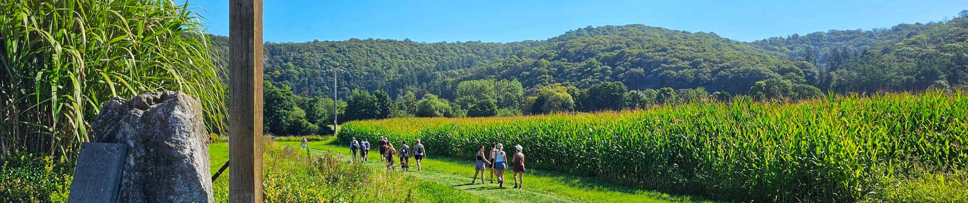 Tocht Stappen Anhée - Marche Adeps à Anhée - Photo