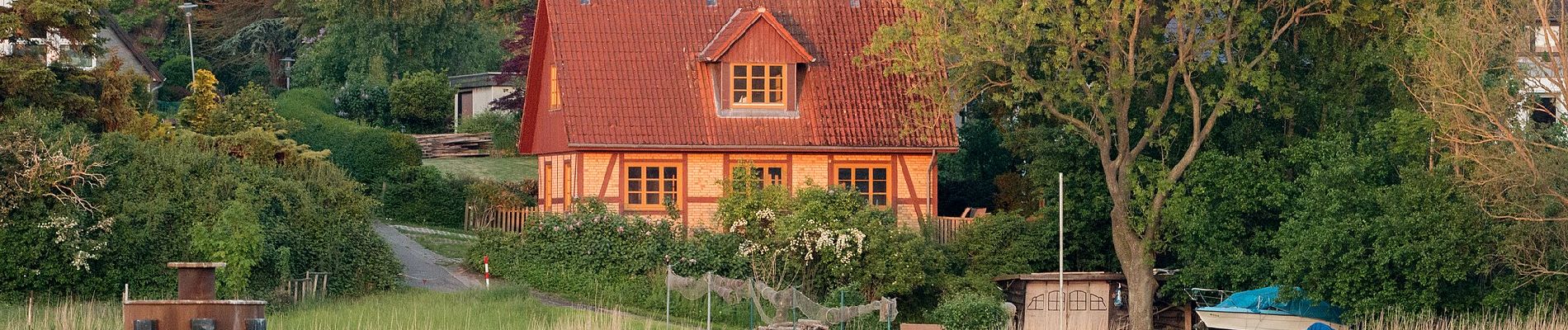 Percorso A piedi Kappeln - Rundweg Ellenberger Gehölz - Photo